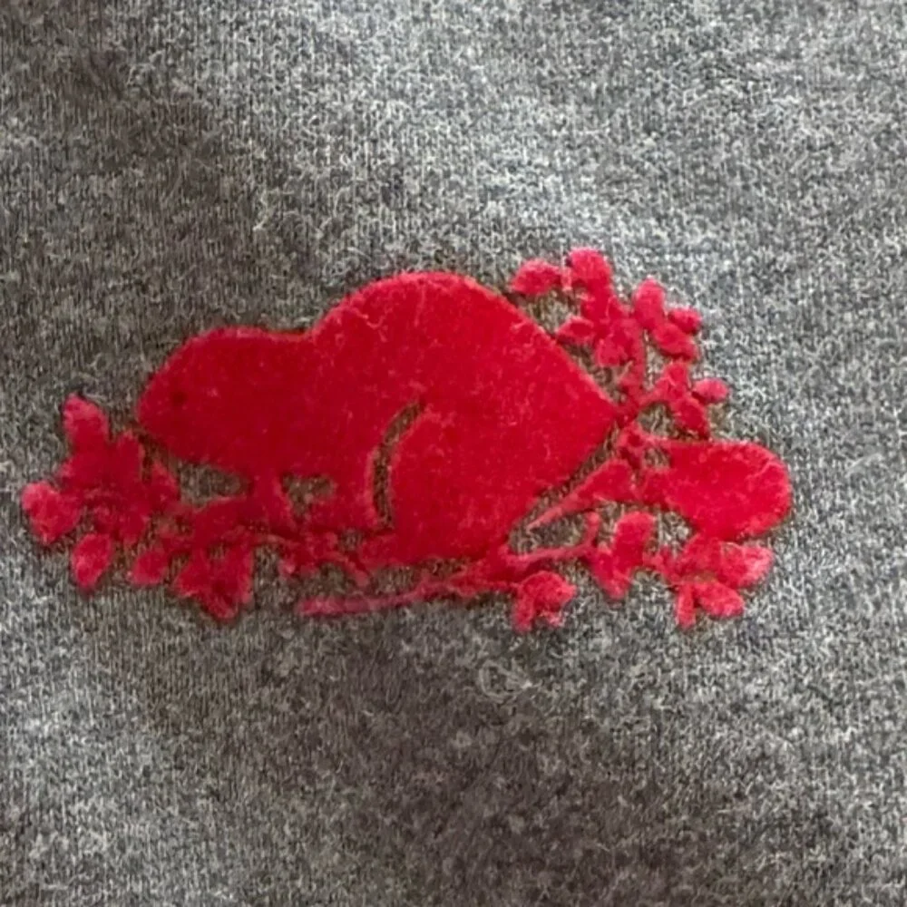 Roots Kids Canada Sweats Hoodie Hooded Kanga Pocket Sweatshirt Youth 13/14 - Picture 9 of 9